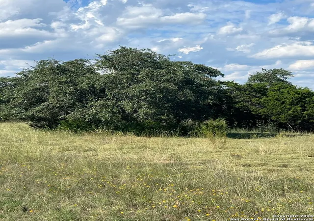 7th image of 317 Bosque Ridge, Spring Branch, TX 78070 | MLS# 1813798