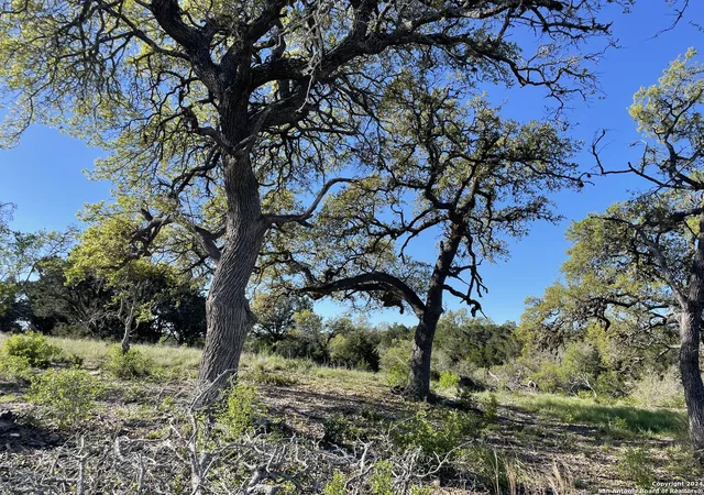 2nd image of 838 Rutherford, Fischer, TX 78623 | MLS# 1816387