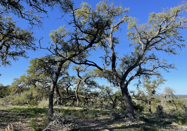 1st image of 838 Rutherford, Fischer, TX 78623 | MLS# 1816387