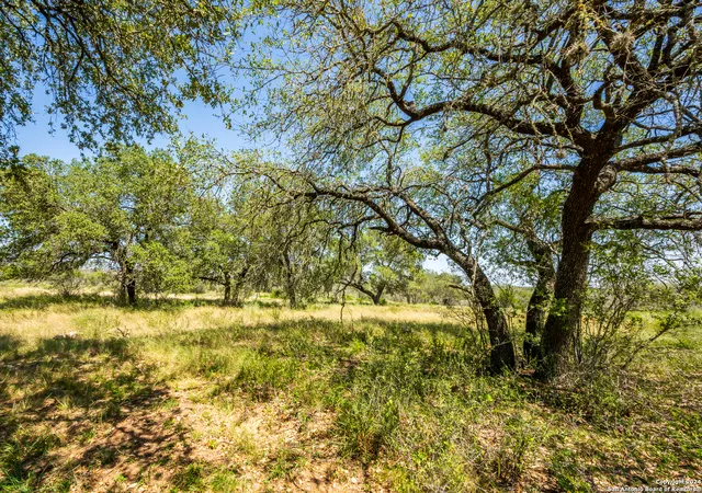 2nd image of Cr 6642 Cr 6642, Devine, TX 78016 | MLS# 1816956