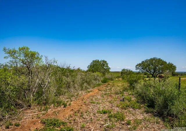 Photo 3 of Land for sale at Cr 6642 Cr 6642, Devine, TX 78016 | MLS# 1816956 | Listing updated on 2025-01-24
