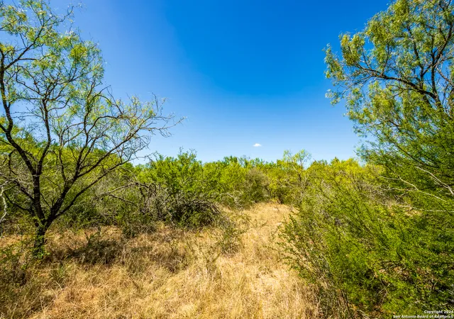 Photo 4 of Land for sale at Cr 6642 Cr 6642, Devine, TX 78016 | MLS# 1816956 | Listing updated on 2025-01-24