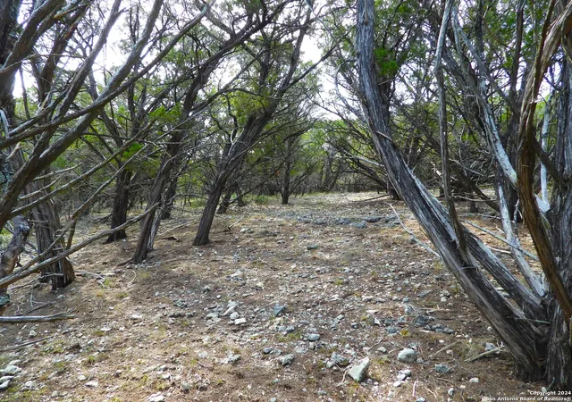 23rd image of Tbd Simmons Road, Pipecreek, TX 78063 | MLS# 1816988