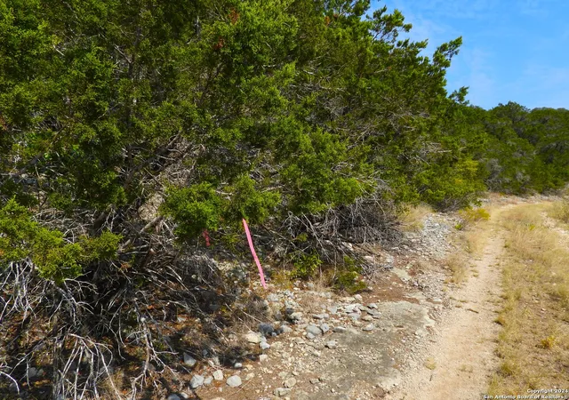17th image of Tbd Skyline Trail, Pipecreek, TX 78063 | MLS# 1817031