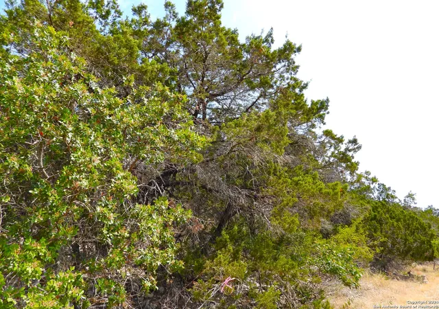 5th image of Tbd Skyline Trail, Pipecreek, TX 78063 | MLS# 1817031