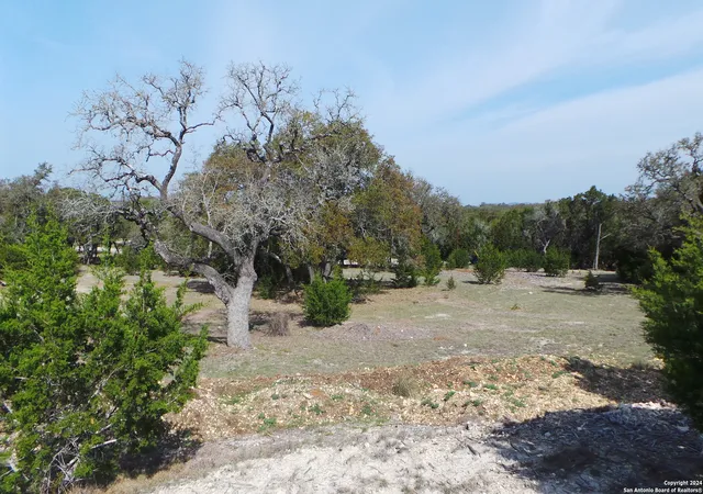 2nd image of 325 Vista View Dr, Spring Branch, TX 78070 | MLS# 1818037