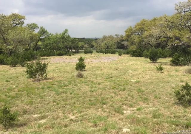 1st image of 325 Vista View Dr, Spring Branch, TX 78070 | MLS# 1818037