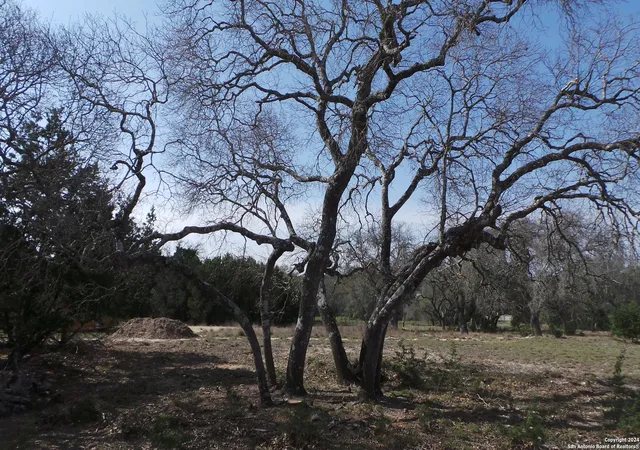 Photo 3 of Land for sale at 325 Vista View Dr, Spring Branch, TX 78070 | MLS# 1818037 | Listing updated on 2025-10-31
