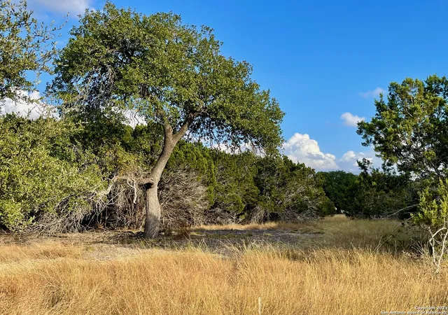 4th image of Parcel 1 Rio Lantana, Pipe Creek, TX 78063 | MLS# 1819905