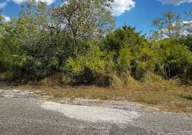 Photo 3 of Land for sale at 112 Clearview Cir, Sandia, TX 78383 | MLS# 1819962 | Listing updated on 2025-11-21