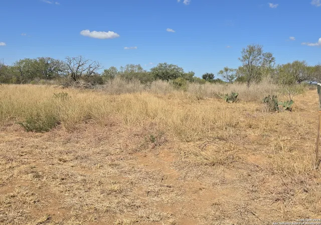 3rd image of 114 County Rd 2668, Moore, TX 78057 | MLS# 1820297
