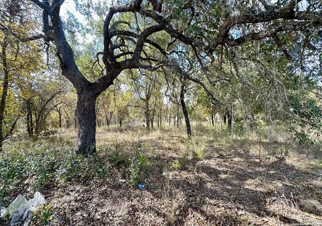 Photo 3 of Sale Pending at 2010 Sandy Bnd, San Antonio, TX 78264 | MLS# 1822604 | Listing updated on 2025-10-28