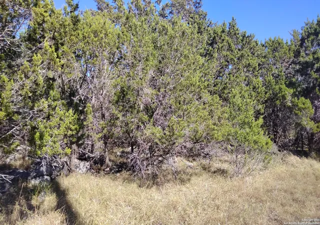 Photo 4 of Land for sale at 630 Rayner Ranch Blvd, Spring Branch, TX 78070 | MLS# 1824956 | Listing updated on 2025-06-14