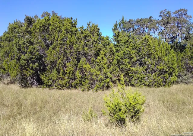 Photo 2 of Land for sale at 630 Rayner Ranch Blvd, Spring Branch, TX 78070 | MLS# 1824956 | Listing updated on 2025-06-14