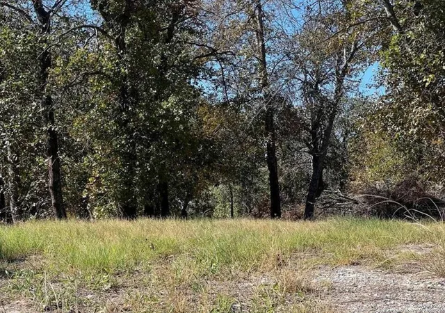 Photo 1 of Land for sale at 267 267 County Road 6861, Natalia, TX 78059 | MLS# 1825571 | Listing updated on 2025-08-27