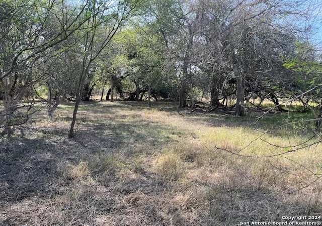 18th image of Tbd Pr B324, Jourdanton, TX 78026 | MLS# 1826087