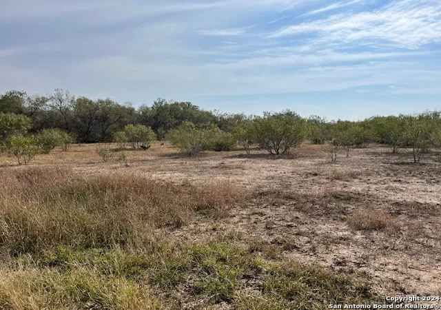 4th image of Tbd Pr B324, Jourdanton, TX 78026 | MLS# 1826087