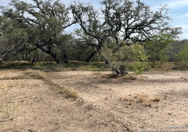 5th image of Tbd Pr B324, Jourdanton, TX 78026 | MLS# 1826087