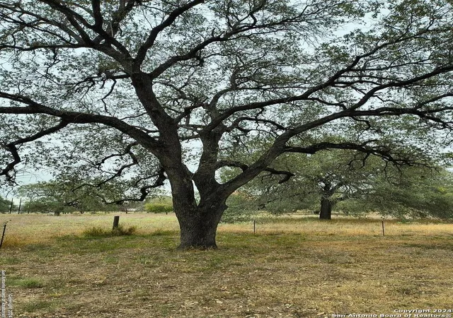 1st image of 16611 N Interstate 35, Moore, TX 78057 | MLS# 1827633
