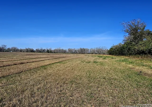 Photo 3 of Land for sale at 0 Fm 640, Wharton, TX 77488 | MLS# 1828395 | Listing updated on 2025-04-05