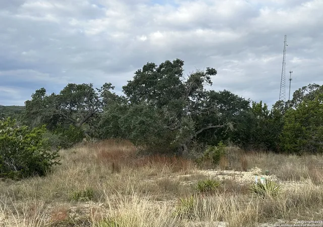 Photo 2 of Land for sale at 106 Thomas Frost, Blanco, TX 78606 | MLS# 1828665 | Listing updated on 2025-02-26