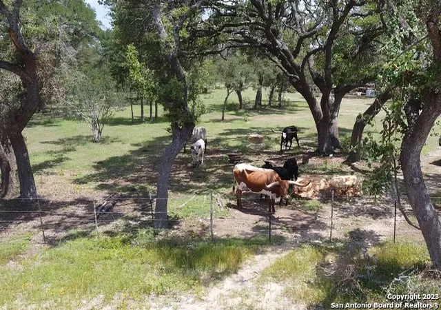 Photo 3 of Land for sale at 550 Windmill Ridge Dr, Blanco, TX 78606 | MLS# 1829116 | Listing updated on 2025-03-21