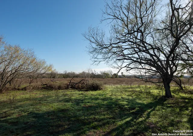 Photo 3 of Land for sale at 1360 County Road 342, La Vernia, TX 78121 | MLS# 1829341 | Listing updated on 2025-12-16