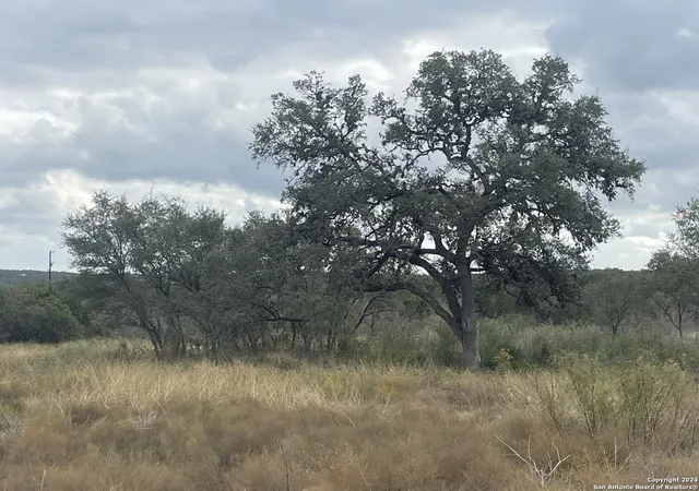 Photo 3 of Land for sale at Tbd Raleigh Oaks, Hondo, TX 78861 | MLS# 1830393 | Listing updated on 2024-12-31