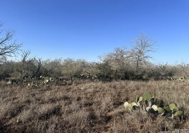 Photo 2 of Land for sale at 5870 County Road 405, Floresville, TX 78114 | MLS# 1830487 | Listing updated on 2025-12-17