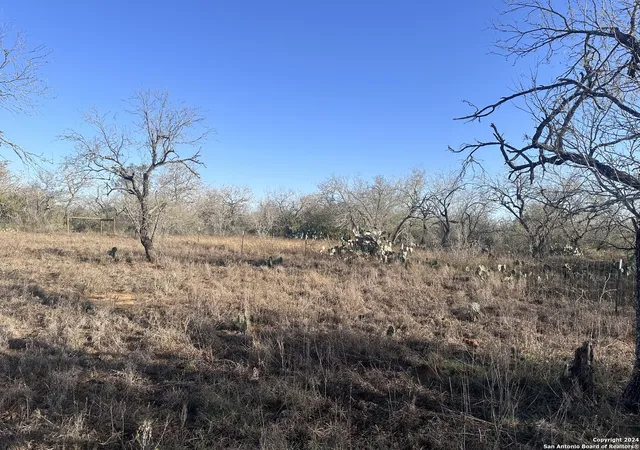 Photo 4 of Land for sale at 5870 County Road 405, Floresville, TX 78114 | MLS# 1830487 | Listing updated on 2025-12-17
