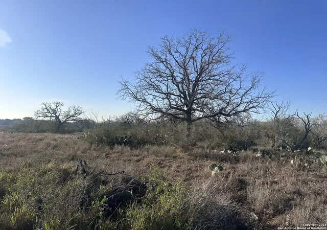 Photo 3 of Land for sale at 5870 County Road 405, Floresville, TX 78114 | MLS# 1830487 | Listing updated on 2025-12-17