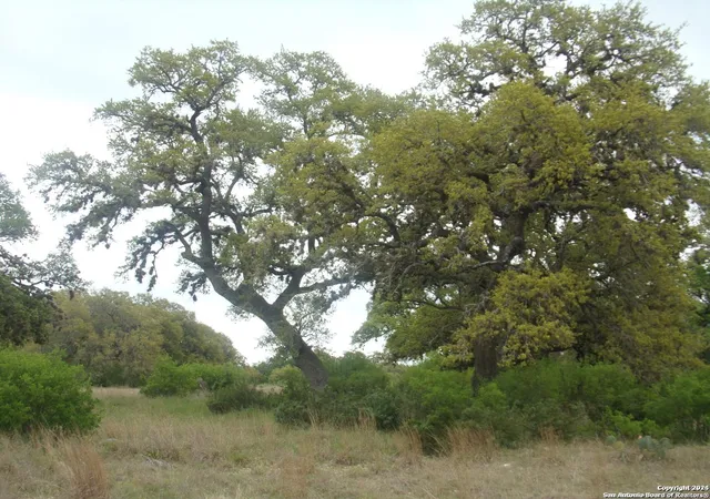 Photo 3 of Land for sale at 760 Pacific Pl, Spring Branch, TX 78070 | MLS# 1830536 | Listing updated on 2025-12-29