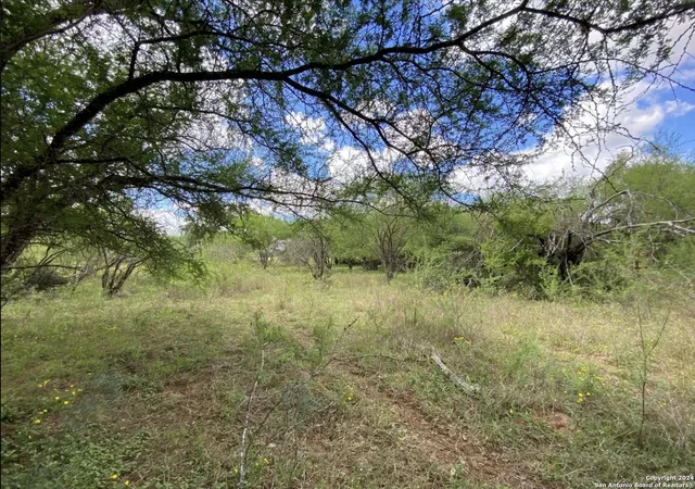 Photo 3 of Land for sale at 245 Buttercup Ln, Floresville, TX 78114 | MLS# 1830793 | Listing updated on 2025-08-29
