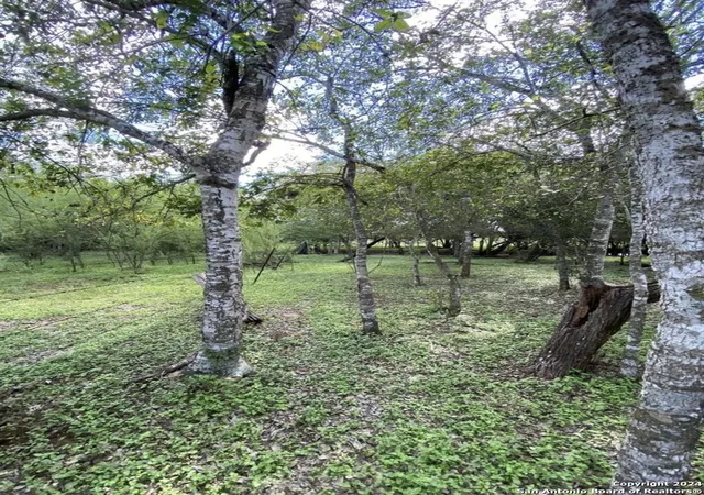 Photo 4 of Land for sale at 245 Buttercup Ln, Floresville, TX 78114 | MLS# 1830793 | Listing updated on 2025-08-29