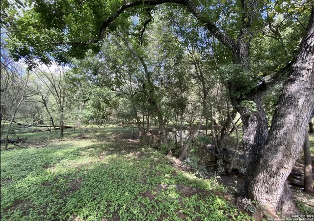 Photo 3 of Land for sale at 245 Buttercup Ln, Floresville, TX 78114 | MLS# 1830793 | Listing updated on 2025-08-29