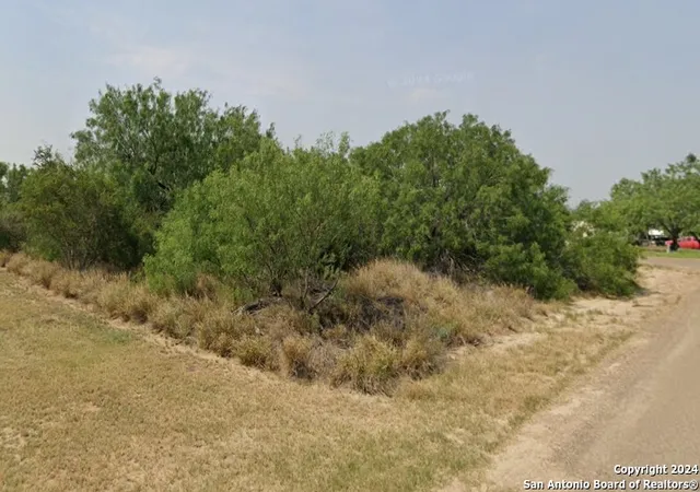 Homes for sale in Zapata, TX | 211 Hawk St, Zapata, TX 78076 | MLS# 1831154