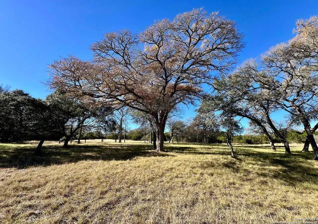 Photo 4 of Land for sale at 205 Mulder Dr, Center Point, TX 78010 | MLS# 1831622 | Listing updated on 2026-03-05