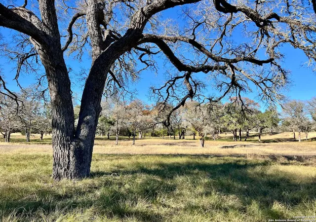 Photo 3 of Land for sale at 205 Mulder Dr, Center Point, TX 78010 | MLS# 1831622 | Listing updated on 2026-03-05