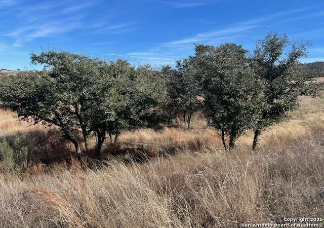 Photo 1 of Land for sale at 136 Falling Oak Dr, Blanco, TX 78606 | MLS# 1832024 | Listing updated on 2025-01-13