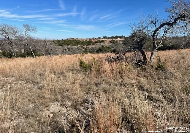 2nd image of 137 Falling Oak Dr, Blanco, TX 78606 | MLS# 1832030