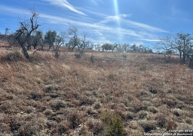 3rd image of 137 Falling Oak Dr, Blanco, TX 78606 | MLS# 1832030
