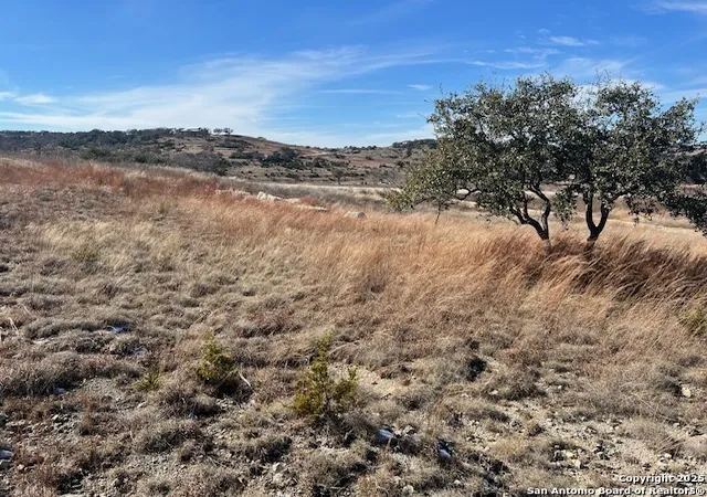 4th image of 137 Falling Oak Dr, Blanco, TX 78606 | MLS# 1832030