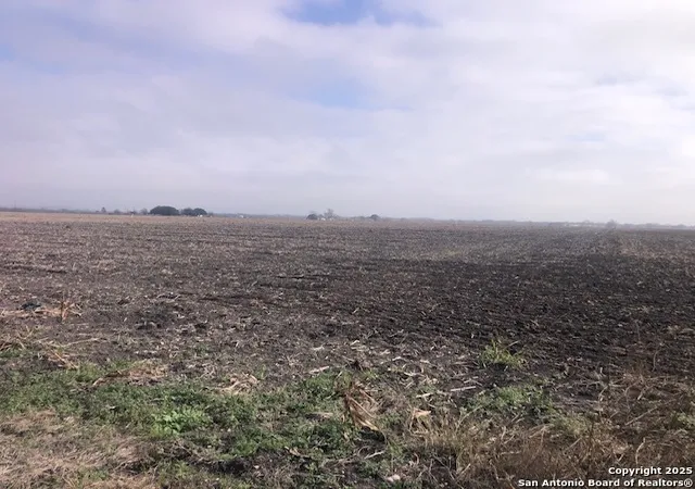 Photo 4 of Land for sale at 0 N State Hwy 123, Seguin, TX 78155 | MLS# 1832168 | Listing updated on 2026-06-19