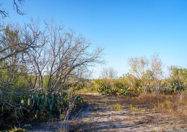 Photo 1 of Land for sale at Tbd Hwy 1604, Elmendorf, TX 78112 | MLS# 1832377 | Listing updated on 2025-01-15