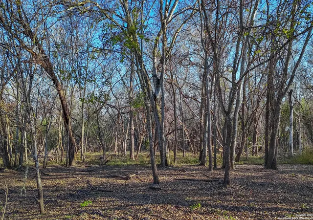 Photo 3 of Land for sale at Tbd Hwy 1604, Elmendorf, TX 78112 | MLS# 1832377 | Listing updated on 2025-01-15