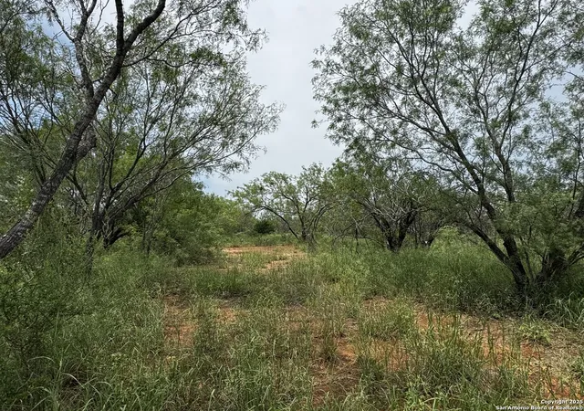 1st image of Tbd E Fm 462, Moore, TX 78057 | MLS# 1832502