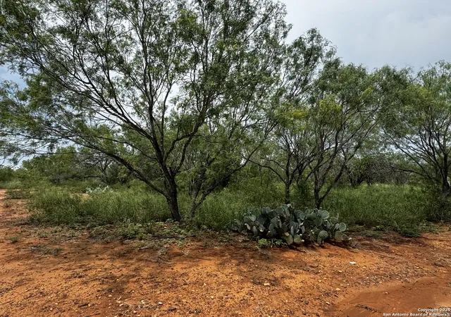 2nd image of Tbd E Fm 462, Moore, TX 78057 | MLS# 1832502