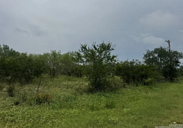 3rd image of Tbd E Fm 462, Moore, TX 78057 | MLS# 1832502