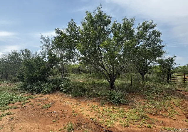 4th image of Tbd E Fm 462, Moore, TX 78057 | MLS# 1832502