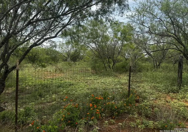 5th image of Tbd E Fm 462, Moore, TX 78057 | MLS# 1832502